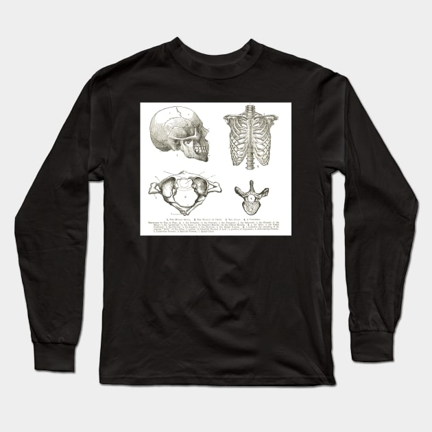 Human anatomy, 19th century diagrams, Human Skull, Thorax, The Atlas, and Vertebra Long Sleeve T-Shirt by artfromthepast